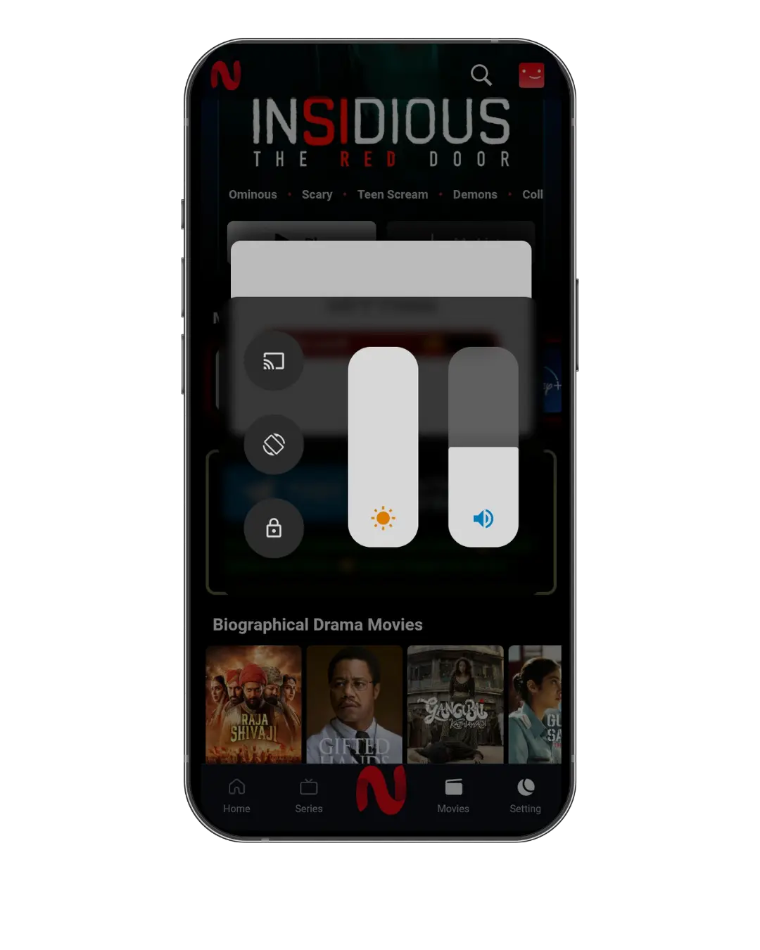 NetMirror screenshot