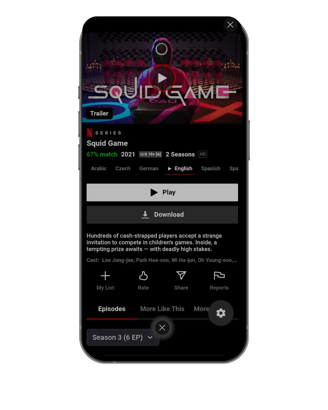 NetMirror screenshot